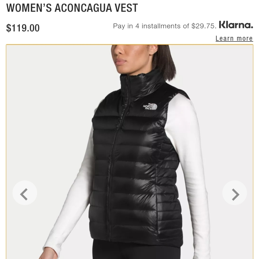 COPY - COPY - North Face Vest